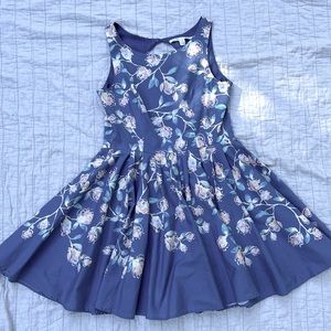 Lauren Conrad Blue Pink Flower Fit n Flare Dress
